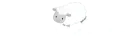 Leaping Lambs Nursery & Pre School
